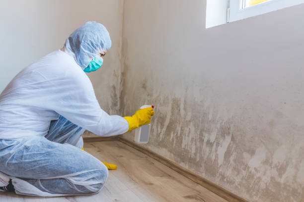 Licensed Commercial Mold Remediation service in Brighton, CO - WQB Mold Removal