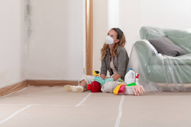 Reliable Commercial Mold Remediation contractor in Brighton, CO by WQB Mold Removal